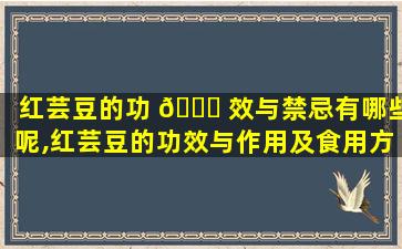 红芸豆的功 🍁 效与禁忌有哪些呢,红芸豆的功效与作用及食用方法